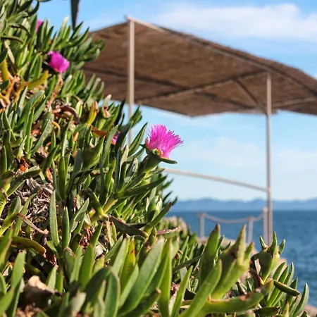 By The Sea Zavalatica, Korcula - 182 아파트