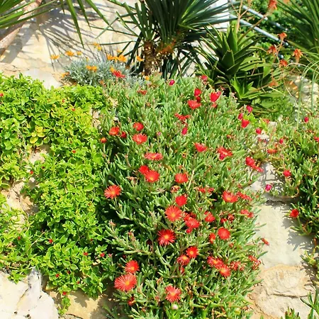 By The Sea Zavalatica, Korcula - 182 아파트 자발라티카