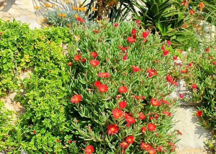 By The Sea Zavalatica, Korcula - 182 דירה זבלטיצה