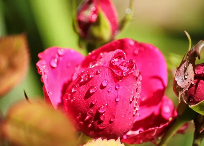 By The Sea Zavalatica, Korcula - 182 * זבלטיצה